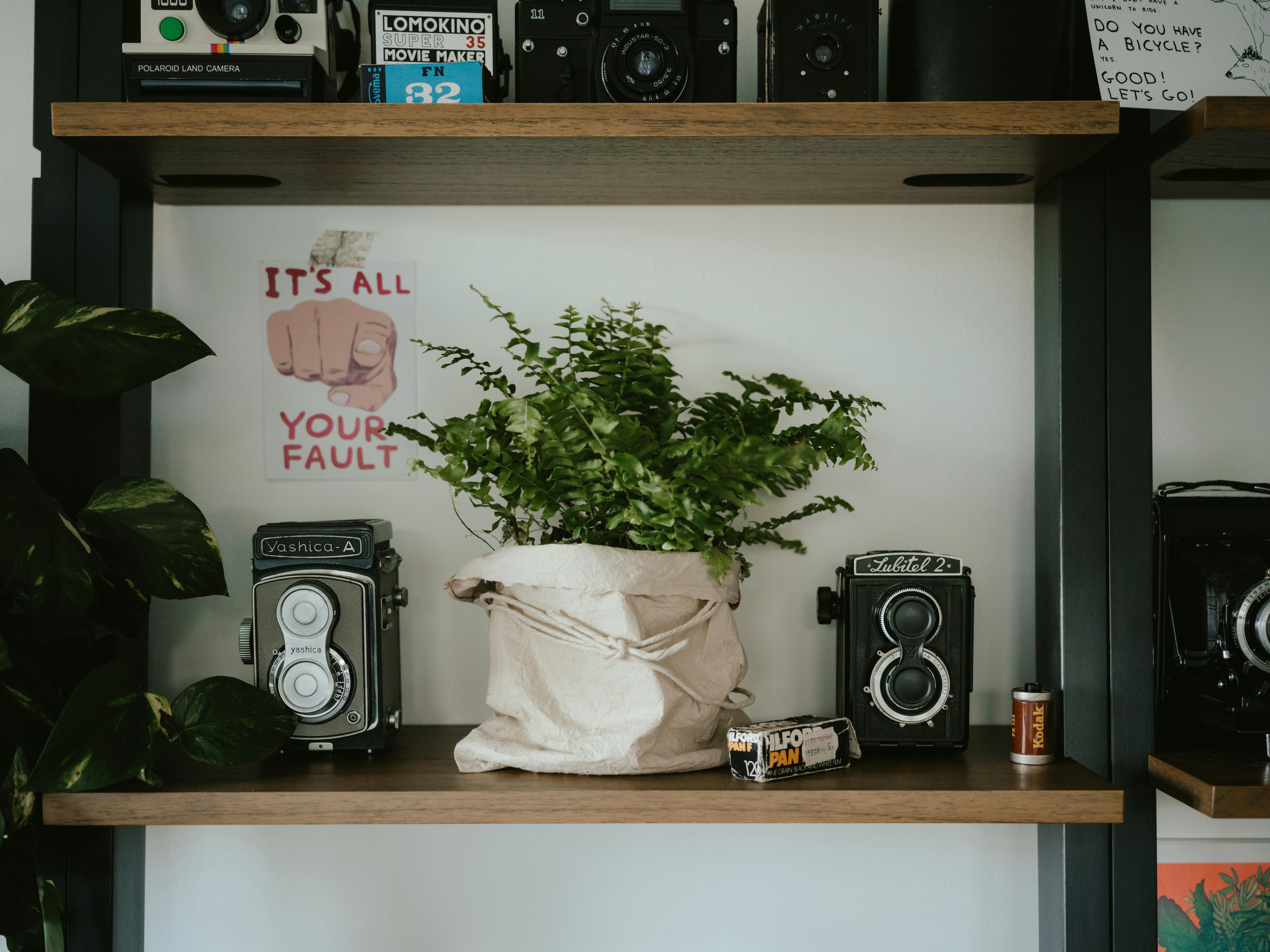 Elevate Your Everyday Living